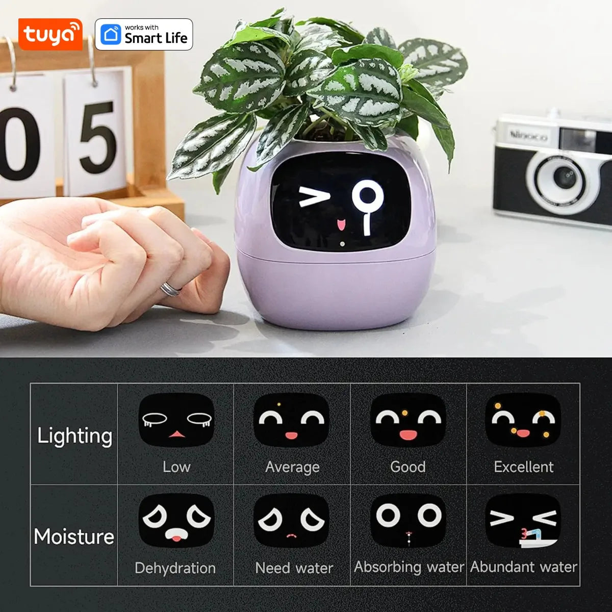 Smart AI Plant Companion