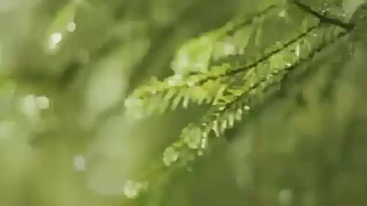 Rain Cloud Humidifier